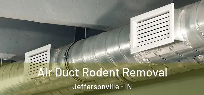 Air Duct Rodent Removal Jeffersonville - IN