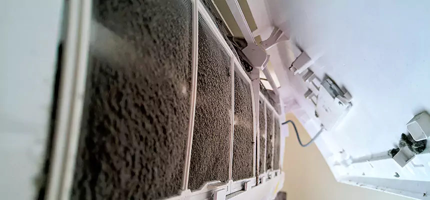 Preventive Air Duct Bacteria Removal in Jeffersonville