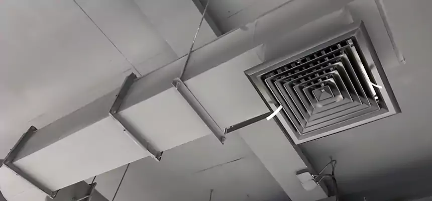 Our Pest Removal From Ducts Services in Jeffersonville, IN