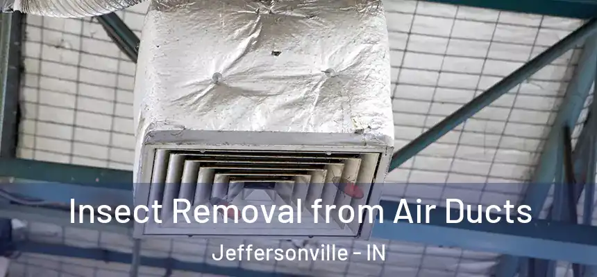  Insect Removal from Air Ducts Jeffersonville - IN