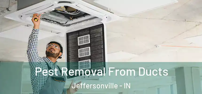  Pest Removal From Ducts Jeffersonville - IN
