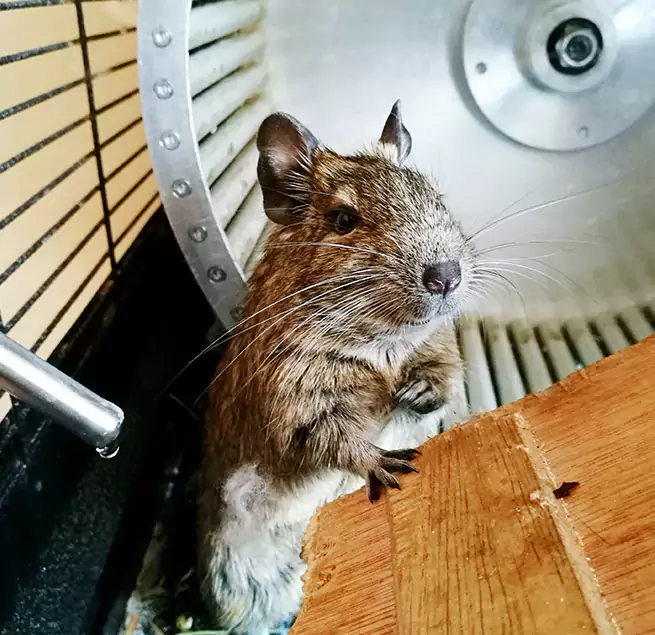 Why Homeowners & Businesses Trust Us Jeffersonville, IN