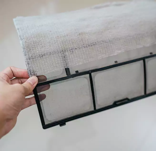 Why Homeowners & Businesses Trust Us in Jeffersonville, IN?