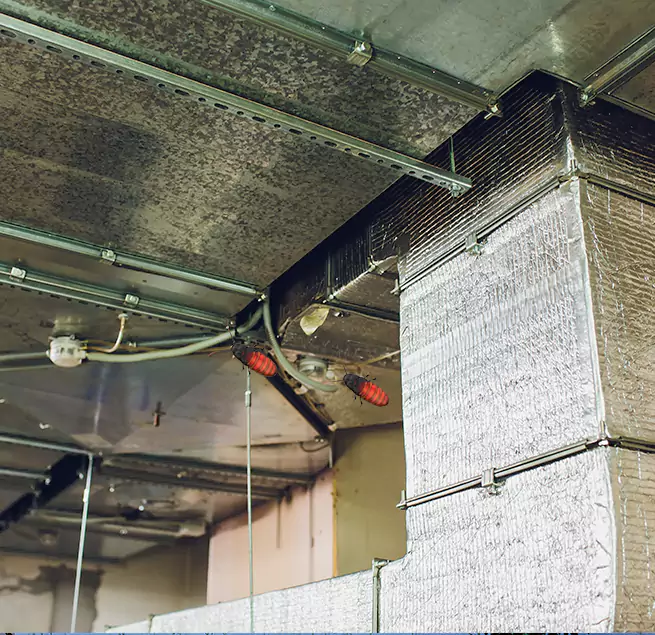 Why Homeowners & Businesses Trust Us Jeffersonville, IN?